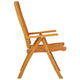Savio Foldable Outdoor Garden Chair | Set of 2 | Brown Eucalyptus Wood
