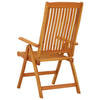 Savio Foldable Outdoor Garden Chair | Set of 2 | Brown Eucalyptus Wood