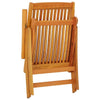 Savio Foldable Outdoor Garden Chair | Set of 2 | Brown Eucalyptus Wood
