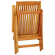 Savio Foldable Outdoor Garden Chair | Set of 2 | Brown Eucalyptus Wood