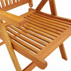Savio Foldable Outdoor Garden Chair | Set of 2 | Brown Eucalyptus Wood
