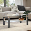 Laila Coffee Table with Shelf Storage | Tempered Glass | Black Melamine 37"