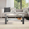 Laila Coffee Table with Shelf Storage | Tempered Glass | Black Melamine 37"