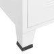 vidaXL Industrial Wardrobe White 35.4"x19.7"x70.9" Metal