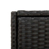 Joey Outdoor Storage Cabinet with Steel Frame | Black Poly Rattan 45"