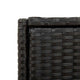 Joey Outdoor Storage Cabinet with Steel Frame | Black Poly Rattan 45"