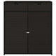 Joey Outdoor Storage Cabinet with Steel Frame | Black Poly Rattan 45"