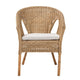 bali & pari Abbey Modern Bohemian Natural Brown Antique Rattan Dining Chair WHI-12717-Rattan-DC