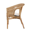 bali & pari Abbey Modern Bohemian Natural Brown Antique Rattan Dining Chair WHI-12717-Rattan-DC