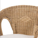 bali & pari Abbey Modern Bohemian Natural Brown Antique Rattan Dining Chair WHI-12717-Rattan-DC