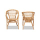 bali & pari Alleta Modern Bohemian Natural Brown Rattan 2-Piece Dining Chair Set WHI-12719-Rattan-DC