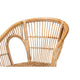 bali & pari Alleta Modern Bohemian Natural Brown Rattan 2-Piece Dining Chair Set WHI-12719-Rattan-DC