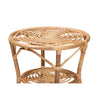 bali & pari Cariel Modern Bohemian Natural Brown Rattan Coffee Table WHI-12720-Rattan-CT