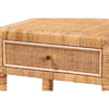 bali & pari Adelia Modern Bohemian Natural Rattan and Mahogany Wood 1-Drawer Nightstand