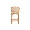 bali & pari Adrena Modern Bohemian Natural Brown Rattan Counter Stool WHI-Adrena-Rattan-CS