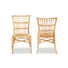 bali & pari Ammi Modern Bohemian Natural Brown Rattan Dining Chair WHI-Ammi-Rattan-DC