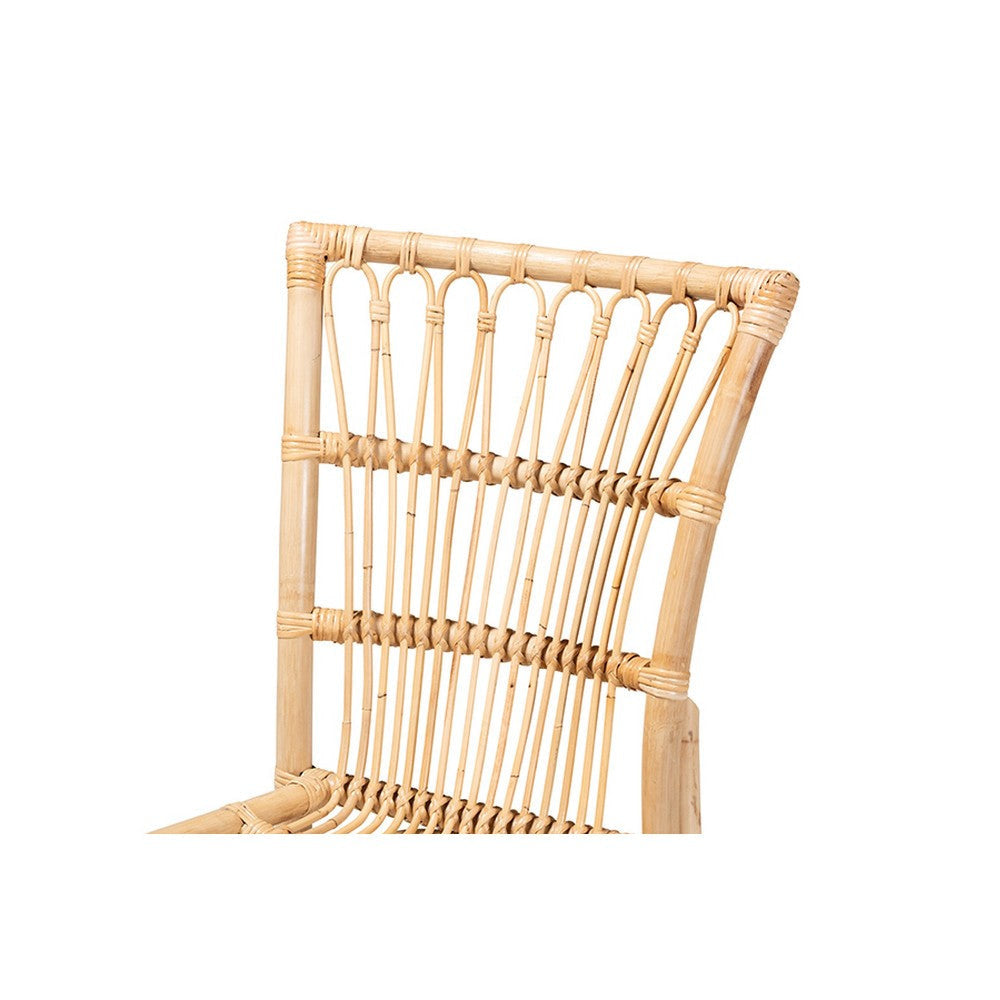 bali & pari Ammi Modern Bohemian Natural Brown Rattan Dining Chair WHI-Ammi-Rattan-DC