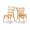 bali & pari Ammi Modern Bohemian Natural Brown Rattan Dining Chair WHI-Ammi-Rattan-DC