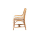 bali & pari Arween Modern Bohemian Natural Brown Rattan Dining Chair WHI-Arween-Rattan-DC