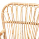 bali & pari Aya Modern and Contemporary Natural Finished Rattan Armchair WHI-Aya-Natural-CC
