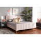 Baxton Studio Nami Modern Contemporary Glam and Luxe Light Pink Velvet Fabric Upholstered and Gold Finished Full Size Platform Bed