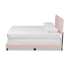 Baxton Studio Caprice Modern and Contemporary Glam Light Pink Velvet Fabric Upholstered Queen Size Panel Bed