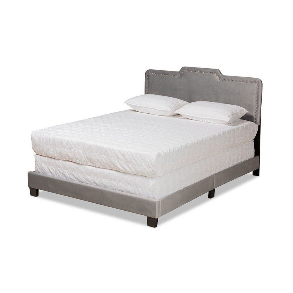 Baxton Studio Benjen Modern and Contemporary Glam Grey Velvet Fabric Upholstered Queen Size Panel Bed