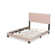 Baxton Studio Tamira Modern and Contemporary Glam Light Pink Velvet Fabric Upholstered Queen Size Panel Bed