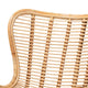 bali & pari Colorado Modern Bohemian Natural Brown Rattan and Black Metal Accent Chair WHI-Colorado-Natural-Rattan-CC