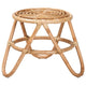 bali & pari Jacinda Modern Bohemian Natural Brown Rattan End Table WHI-DC785-Rattan-ET