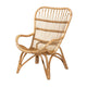 bali & pari Earvin Modern Bohemian Natural Brown Rattan Armchair WHI-DC8005-Rattan-CC