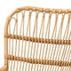 bali & pari Earvin Modern Bohemian Natural Brown Rattan Armchair WHI-DC8005-Rattan-CC