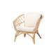 bali & pari Feya Modern Bohemian Natural Brown Antique Rattan Armchair WHI-DC8030-Rattan-CC