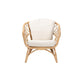 bali & pari Feya Modern Bohemian Natural Brown Antique Rattan Armchair WHI-DC8030-Rattan-CC