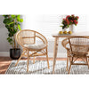 bali & pari Adrina Modern Bohemian Natural Brown Rattan Dining Chair
