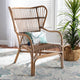 bali & pari Lamaria Modern Bohmenian Natural Brown Antique Rattan Armchair WHI-DC9099-Rattan-CC