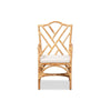 bali & pari Delta Modern and Contemporary Natural Finished Rattan Dining Chair WHI-Delta-Natural-DC