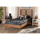 Baxton Studio Eris Mid-Century Modern Walnut Brown Finished Wood Twin Size Platform Bed WHI-Eris-Ash-Walnut-Twin