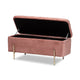 Baxton Studio Rockwell Contemporary Glam and Luxe Blush Pink Velvet Fabric Upholstered and Gold Finished Metal Storage Bench
