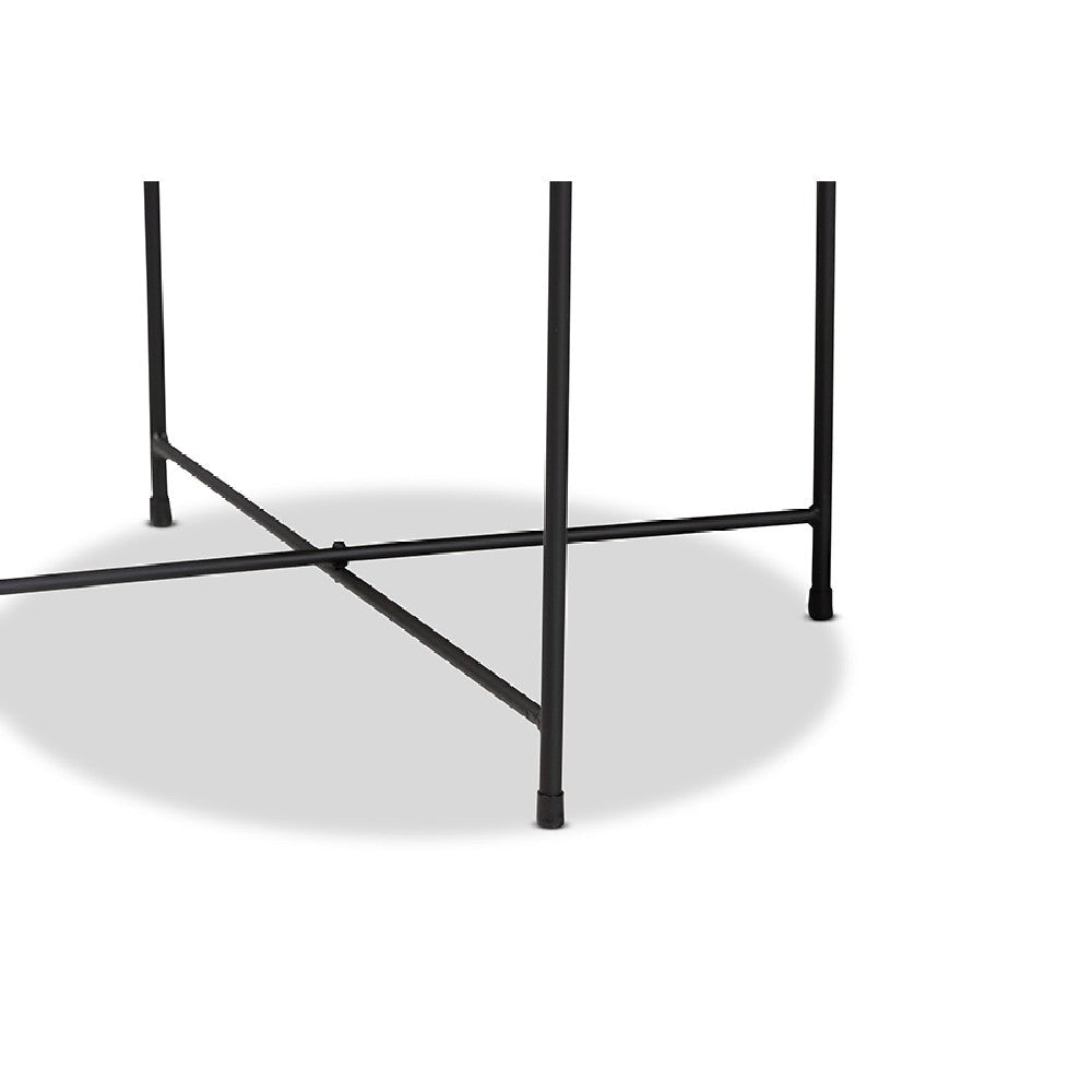 Baxton Studio Ivana Modern and Contemporary Black Finished Metal Plant Stand WHI-H01-102573-Metal-Plant-Stand