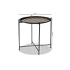 Baxton Studio Ivana Modern and Contemporary Black Finished Metal Plant Stand