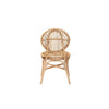 bali & pari Iris Modern Bohemian Natural Brown Rattan Dining Chair WHI-Iris-Rattan-DC