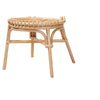 bali & pari Iris Modern Bohemian Natural Brown Rattan Dining Chair WHI-Iris-Rattan-DC