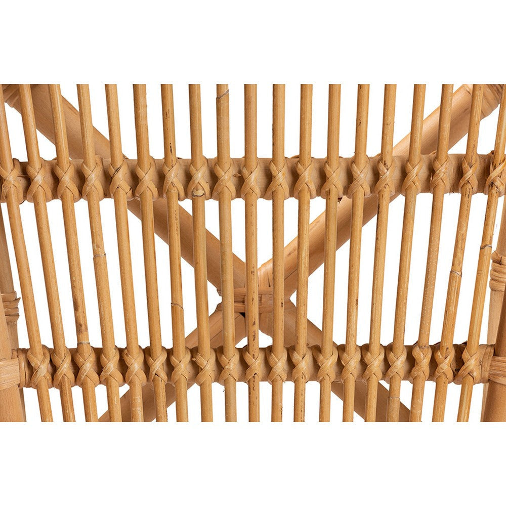 bali & pari Ivora Modern Bohemian Natural Brown Rattan 2-Piece Dining Chair Set WHI-Ivora-Rattan-DC