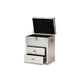 Baxton Studio Serge French Industrial Silver Metal 2-Drawer Accent Storage Cabinet WHI-JY17B165-Silver-Cabinet