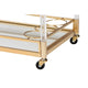 Baxton Studio Savannah Contemporary Glam and Luxe Gold Metal and Glass Wine Cart WHI-JY21A018-Gold-Cart