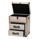 Baxton Studio Agatha Vintage Coffee Canvas 2-Drawer Storage Trunk WHI-JY24A034-White-Wooden-Cabinet