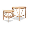 bali & pari Jayden Modern Bohemian Natural Brown Finished Rattan 2-Piece End Table Set WHI-Jayden-Rattan-ET-Set