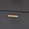 Baxton Studio Kelson Modern and Contemporary Dark Grey and Gold Finished Wood 2-Drawer Nightstand WHI-LV19ST1924-Dark-Grey-NS