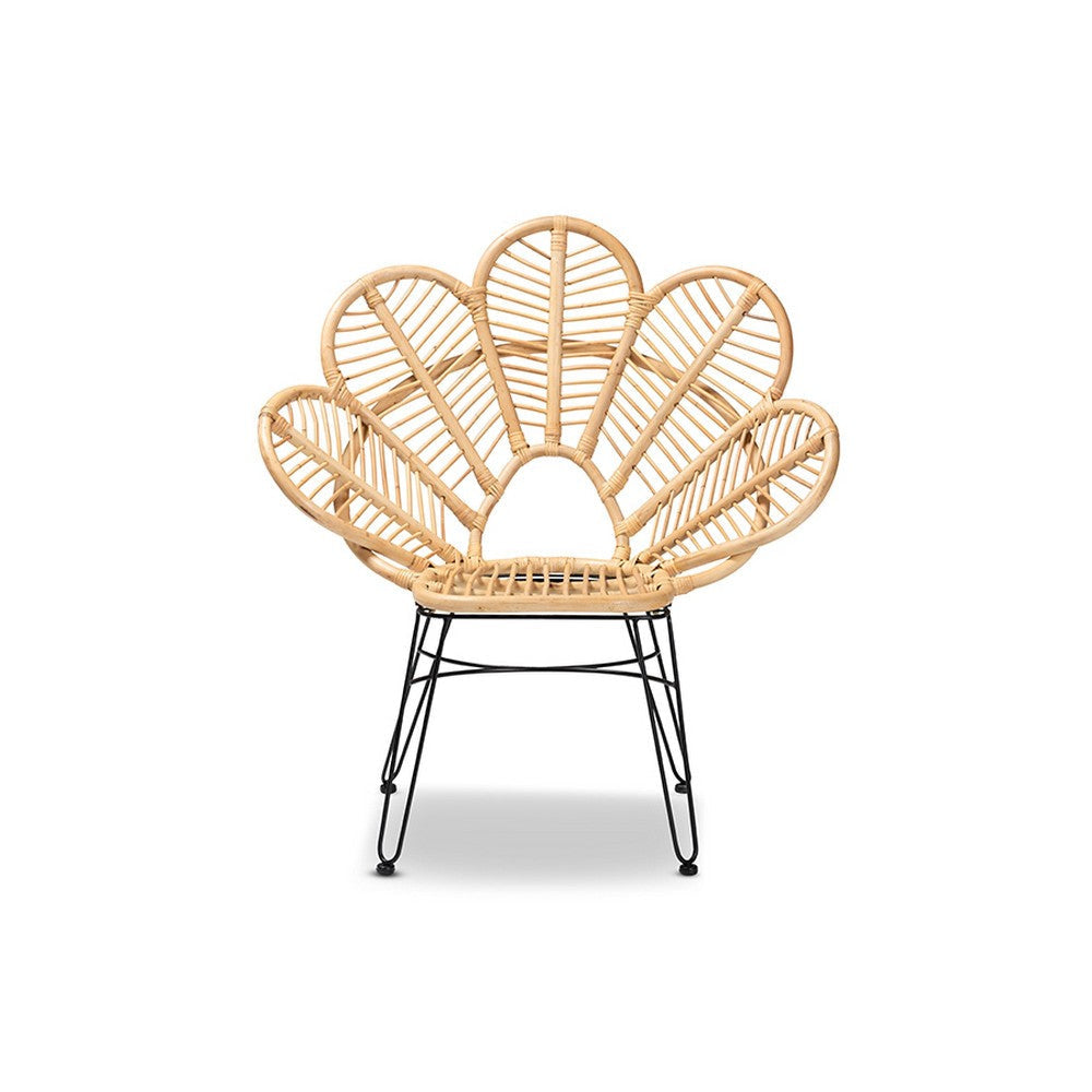 bali & pari Garan Modern Bohemian Natural Brown Rattan and Black Metal Accent Chair WHI-Leaf-Rattan-CC